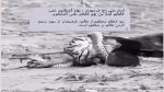 دانلود نوحه من با دم تیغ شهادت افریدم از جواد ذاکری